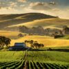 On the Frontlines of Climate Change: Australian Farmers' Bold Stride Toward Sustainability
